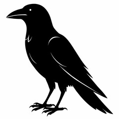 crow silhouette vector illustration