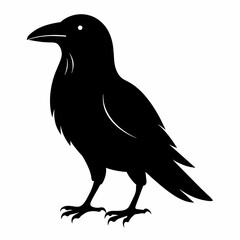 crow silhouette vector illustration