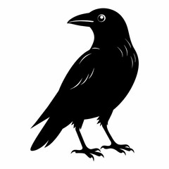 crow silhouette vector illustration