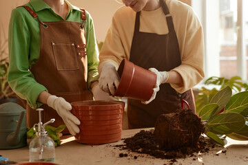 Cropped shot of two young women repotting plant together standing at table in flower shop, copy space