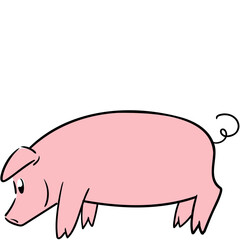 Cute little pig posing with the nose on the ground from side view