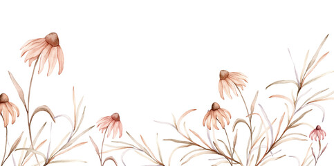 Watercolor border botanical autumn illustration echinacea branches flowers and herbs. Autumn banner illustration. Hand painted drawing isolated on white background. Floral composition pastel color