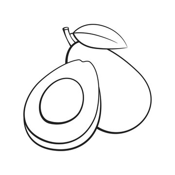 recommend clip art: Avocado doodle black line drawing. outline vector illustration