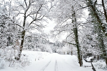 冬の剣龍峡（新潟県） © UI_forever