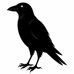 Raven silhouette vector illustration on white background