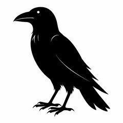 Fototapeta premium Raven silhouette vector illustration on white background