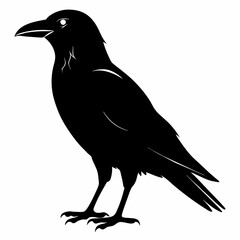 Raven silhouette vector illustration on white background