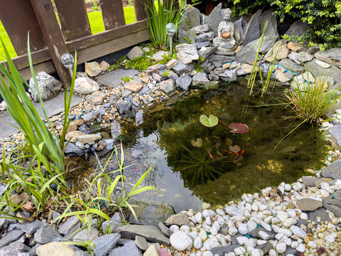 garden pond in the spring with nature stones