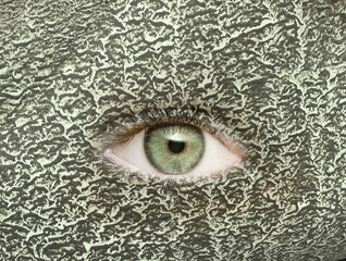 Auge mit Grüner Pupillein grünem Camouflage-Hintergrund