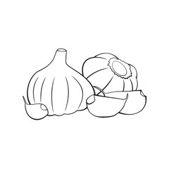 Garlic, Black and White stylized, Vector Illustration
