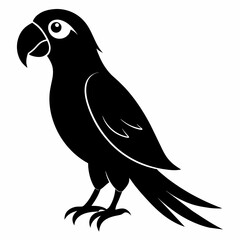 Macaw sillhouette vector illustration
