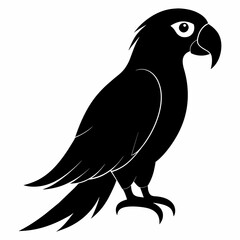 Macaw sillhouette vector illustration