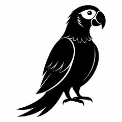 Macaw sillhouette vector illustration