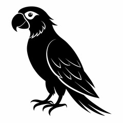 Macaw sillhouette vector illustration