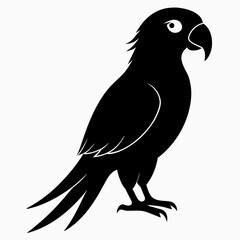 Fototapeta premium Macaw sillhouette vector illustration