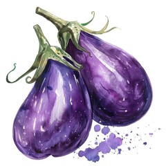A watercolor illustration of an eggplant, with splashes of purple and green