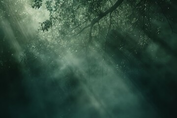 Wisps of fog in a mystical forest