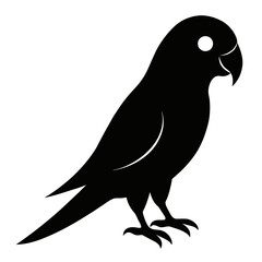 Obraz premium Parakeet sillhouette vector illustration