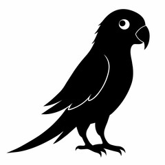 Parakeet sillhouette vector illustration