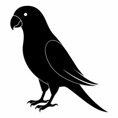 Parakeet sillhouette vector illustration