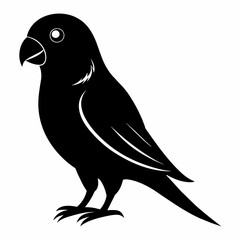 Parakeet sillhouette vector illustration