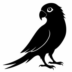 Parakeet sillhouette vector illustration