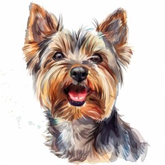 Yorkshire Terrier smiling, watercolor style, plain white background