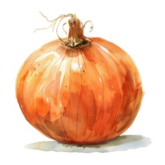 A warm, golden-toned watercolor illustration of an onion with delicate root details