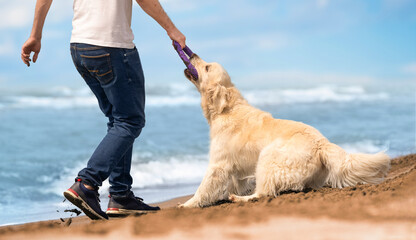 A man plays with a golden retriever on a sandy beach near the sea on a sunny summer day. Life with...