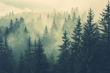 Obraz premium Misty landscape with fir forest in vintage retro , AI generated