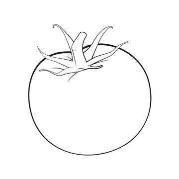 recommend clip art: Tomato, Black and White, Stylized, Vector Illustration of Tomatoes