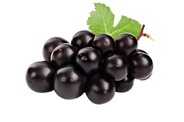 Fototapeta premium Vine of fresh blue Black Corinthian grapes, isolate on white background. Sprig of organic natural food. AI generated.