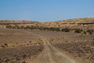 A track leading the way though the Sahara Desert
