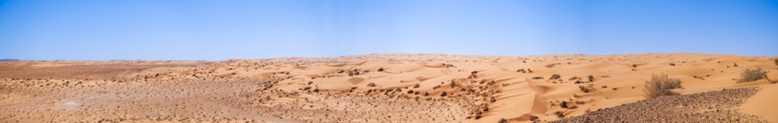 Panorama view of the Sahara Desert with high dunes, bright light and lots of sand