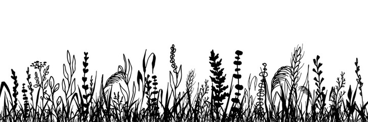 Grass with herbs and wild flowers. Vector isolated silhouette of floral meadow. Horizontal border. - obrazy, fototapety, plakaty