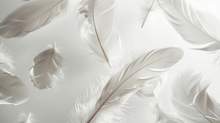Ethereal boho feathers floating delicately against a pristine white surface