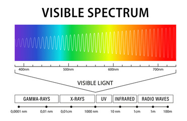 Visible light diagram. Color electromagnetic spectrum, frequency of light waves. Physics education school vector background. Electromagnetic spectrum visible to the human eye. Vector illustration