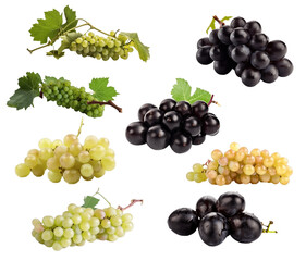 Set Vine of fresh green Muscat grapes, isolate on white background. Sprig of organic natural food....