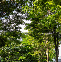 Parque en día solead