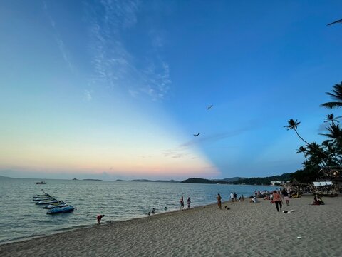 people on the beach