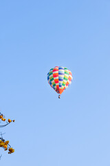 Fototapeta premium Hot air balloon over yellow flower fields against blue sky,Colorful Hot air balloons flying over the valley with blue sky,Travel and Tourism concept.