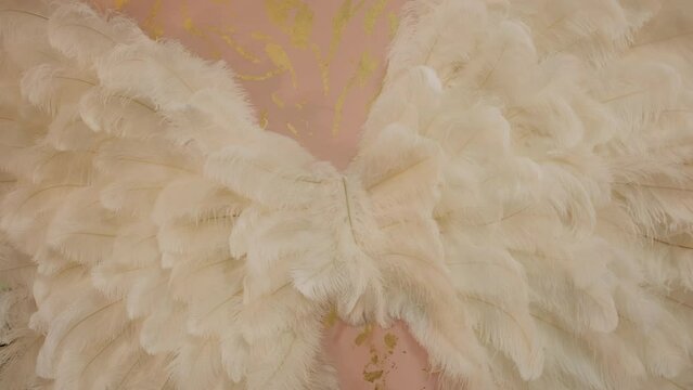 element of angel wings clothing. Close up