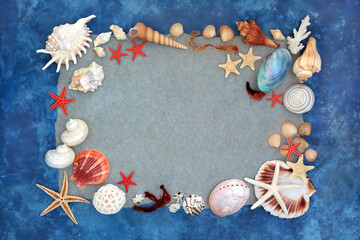 Seashell assortment abstract background border on rustic mottled blue background. Natural nature design with large collection of shells on torn rough paper. 