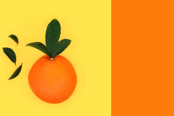 Orange citrus fruit healthy eating on dual tone background. Summer sunshine food high in bio flavonoids, antioxidants, vitamin c for immune system boost.