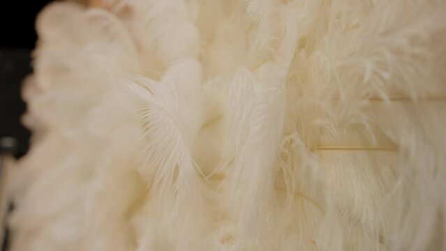 element of angel wings clothing. Close up view