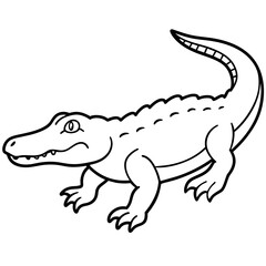 crocodile isolated on white background