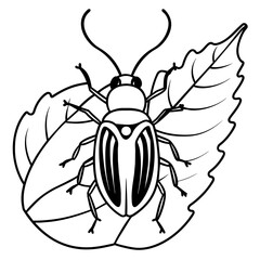 beetle illustration