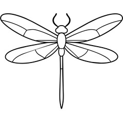 dragonfly on white background