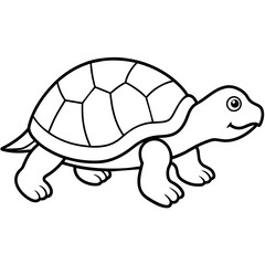 turtle isolated on white