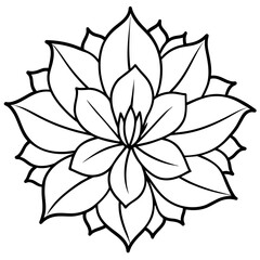 black and white flowers isolated